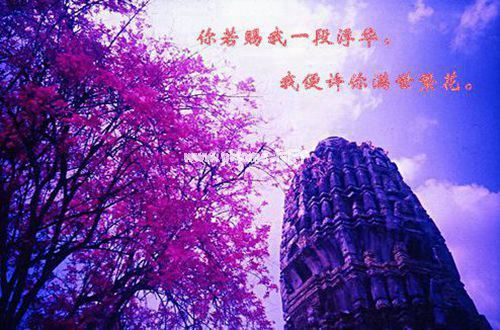 qq说说幽默的个性短语