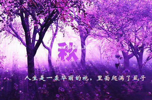 最新唯美心情说说带图片