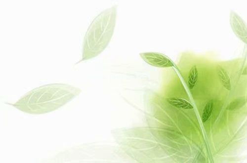 最新伤感的微信说说大全女生专用