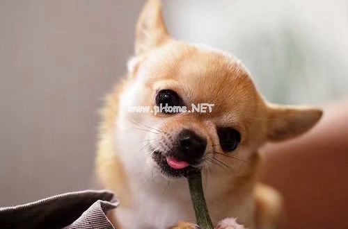励志正能量QQ说说大全29句