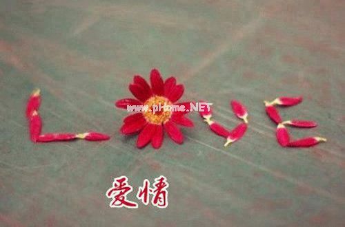 关于爱情的说说伤感短句子24句