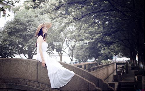 名人关于赞美松树的诗句或名言大全
