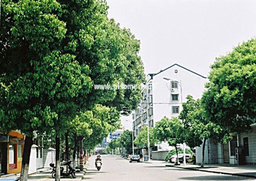 2023年关于辞旧迎新的诗句古诗词