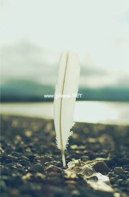 用提心吊胆怎么造句子 提心吊胆的反义词和近义词 提心吊胆的