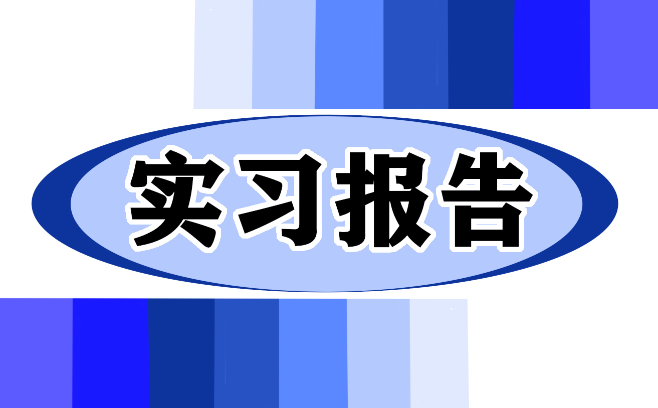大学生电子商务实习报告模板5篇