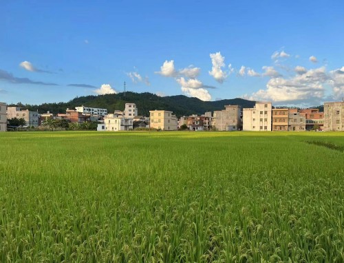 简单员工优秀辞职信6篇模板