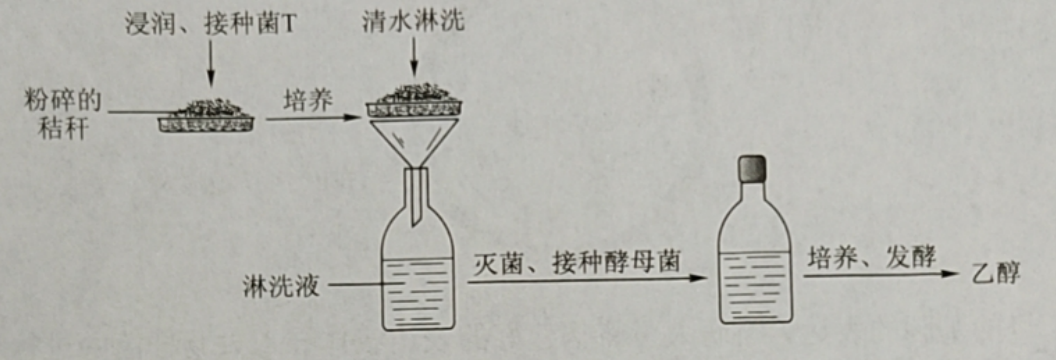2023高考理综真题全国乙卷生物
