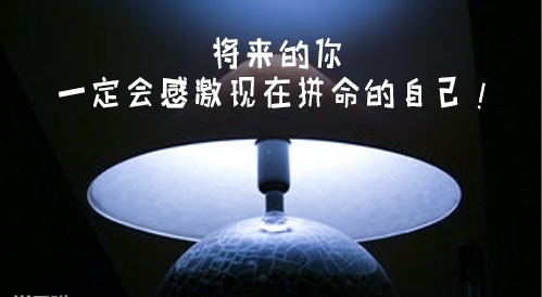 2020关于学习演讲稿范文5篇