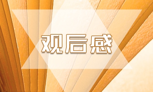 《英雄的人民人民的英雄》观后感学习心得范文5篇