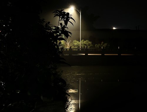 熬夜的坏处说明文五篇_熬夜后的危害状况是什么