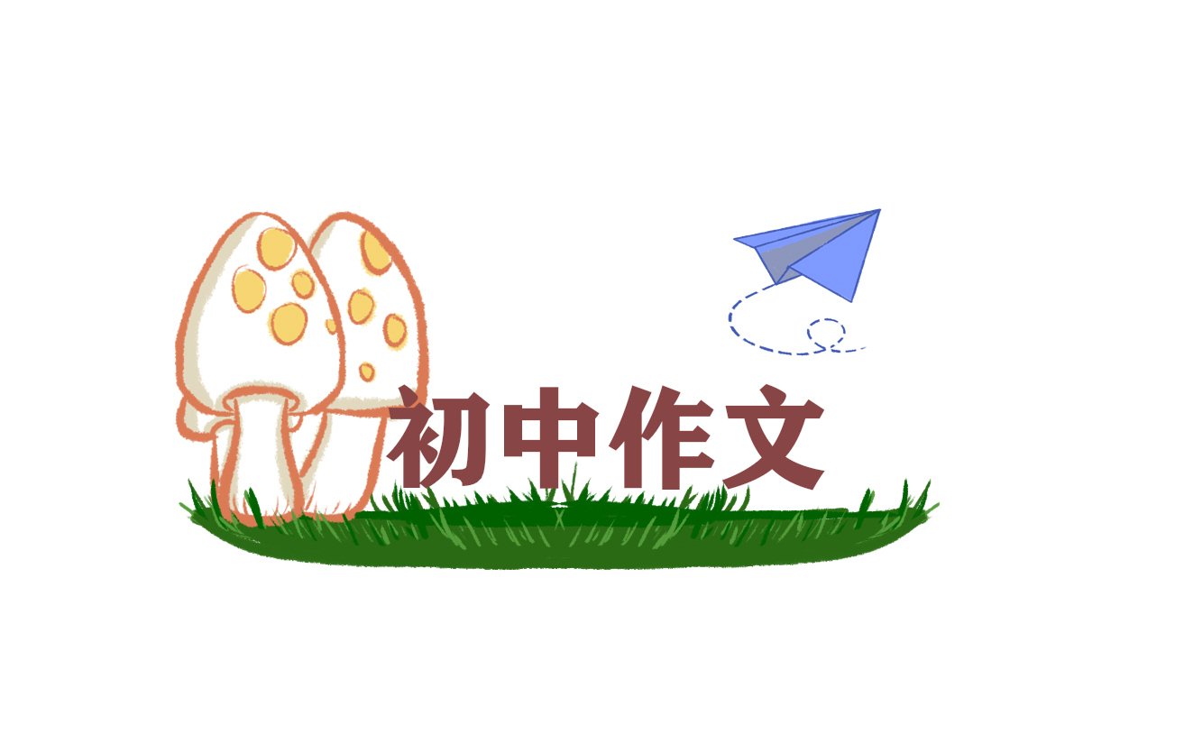 文化作文800字_中国文化作文初三5篇精选