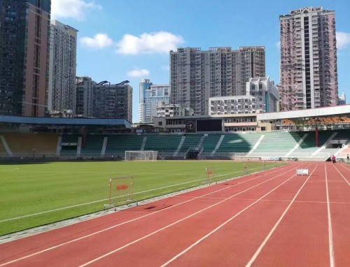 给爸爸妈妈的一封信小学六年级作文5篇