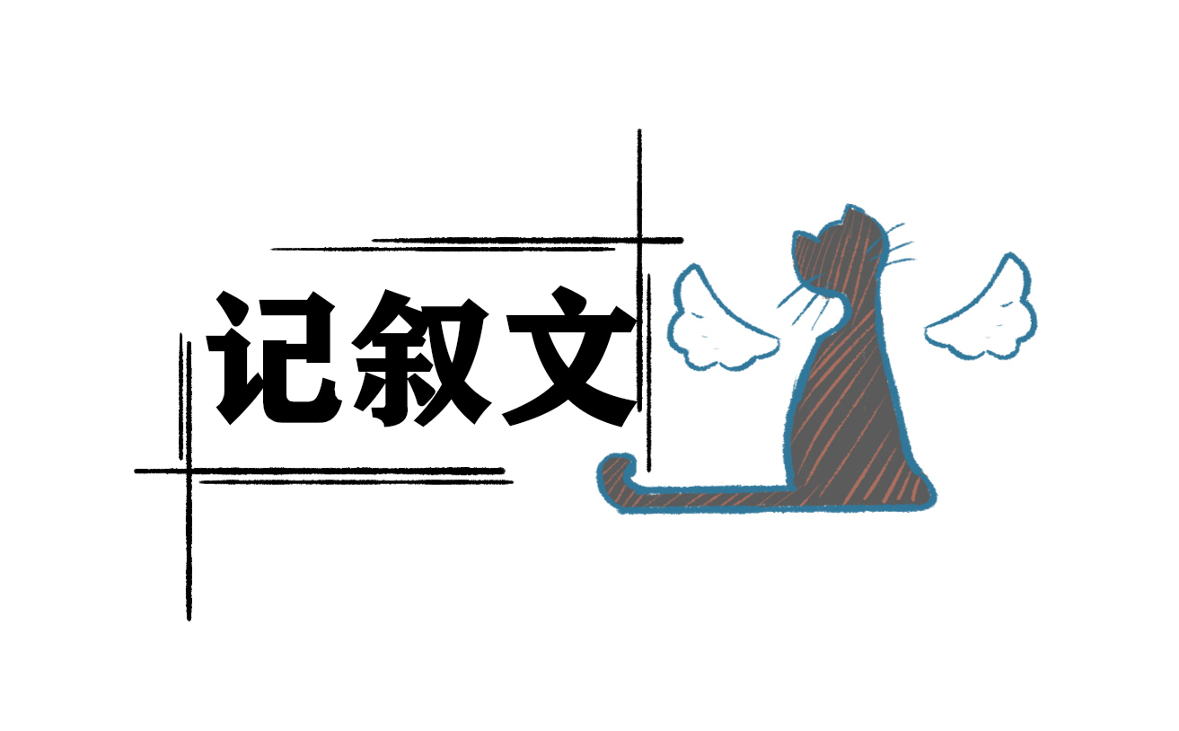 赞美老师的文章记叙文