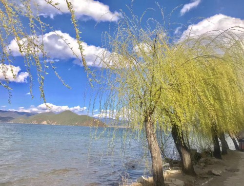 抖音关于夏天写景的好句好段110句