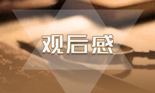 有关虎门销烟观后感400字优秀心得