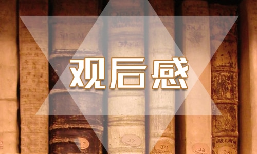 关于观看山海情感悟榜样精神心得体会5篇