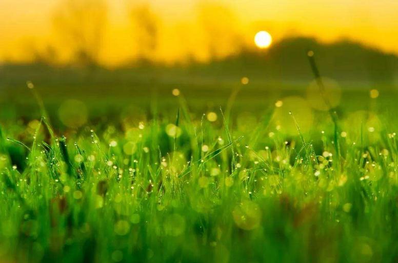 2019白露属于什么季节 白露是什么季节的节气